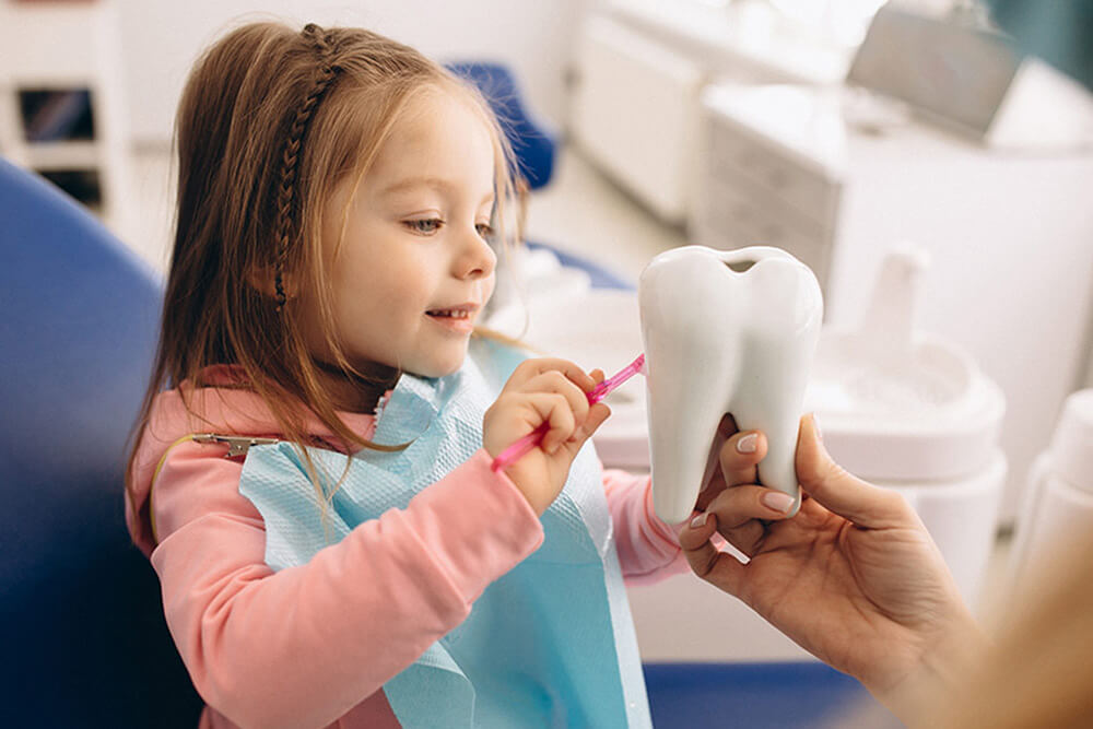 little girl brushing a giant ceramic tooth with a toothbrush